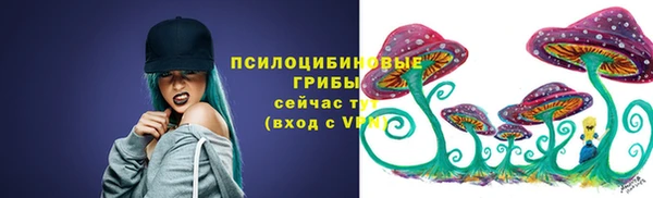 тгк Надым